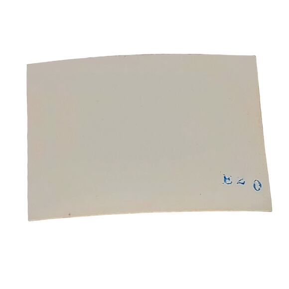 Vtg B&W Photo Found 1940 Yellowstone Park Road Tree Mountain Top View Snapshot - Picture 2 of 4